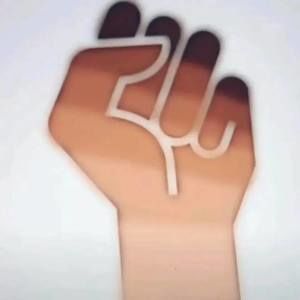 Meet your Posher, Chase